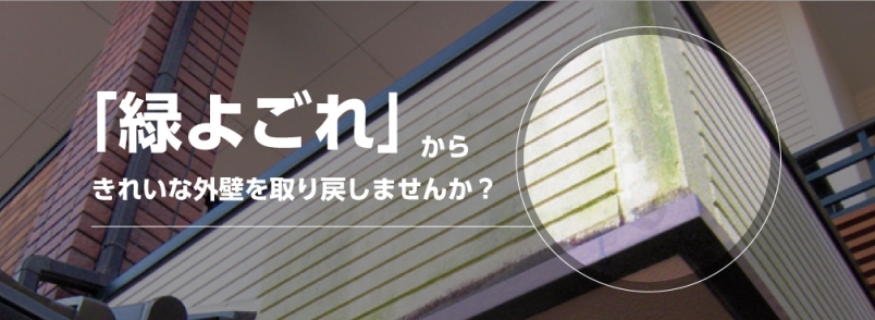 Ф褴פ餭줤ʳɤᤷޤ󤫡
